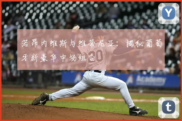 若昂内维斯与维蒂尼亚:揭秘葡萄牙新豪华中场组合