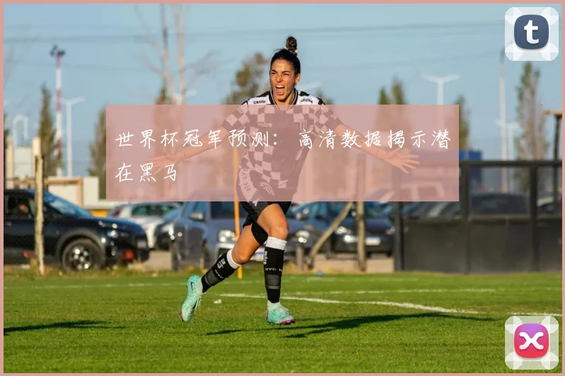 世界杯冠军预测:高清数据揭示潜在黑马
